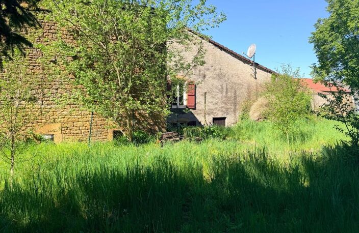 Villecloye maison 3 chambres avec grange, atelier, garage et beau terrain — photo 2