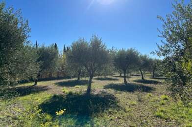 Terrain  133000 €