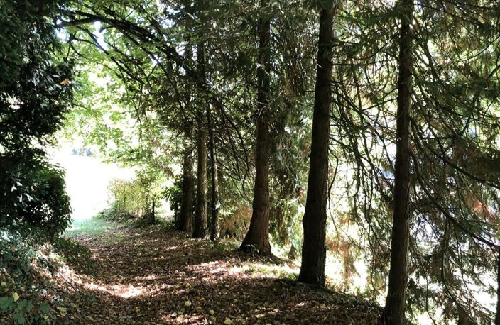 Longère sur un parc d'1,3 hectare — photo 3