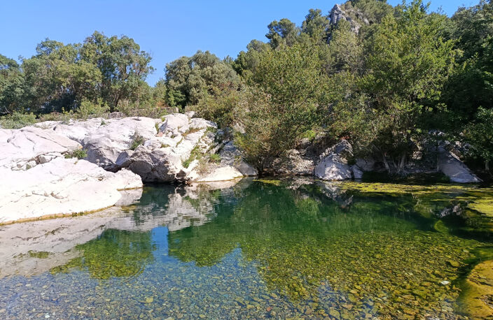 Propriété d'exception de 4 ha nichée dans l'un des plus beau — photo 4