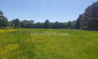 Terrain  8500 m² à vendre à Villefranche-sur-Cher (41200)