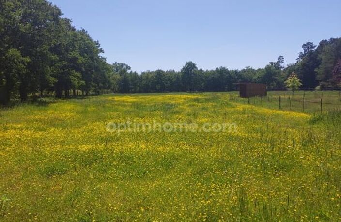 Terrain à vendre de 8 500,00 m² VILLEFRANCHE SUR CHER 41 dans un environnement très calme et verdoyant — photo 3