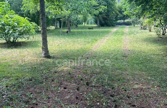 🏡✨Pavillon de caractère en Puisaye (Bléneau) 🌳 — photo 3