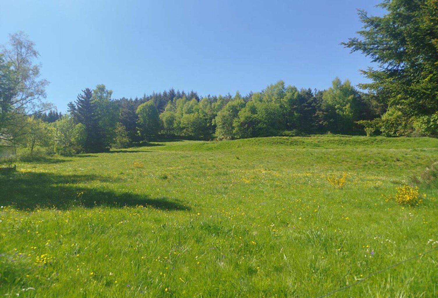 Terrain Constructible Chaudeyrac 6438m² — photo 1