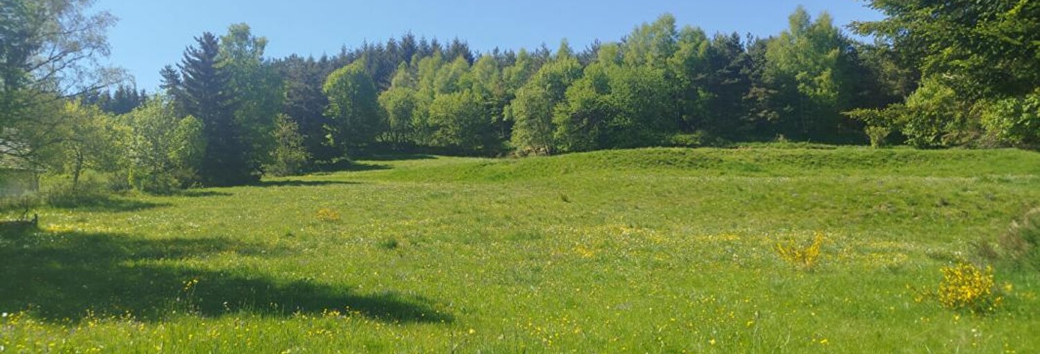Terrain  6438 m² à vendre à Chaudeyrac (48170)