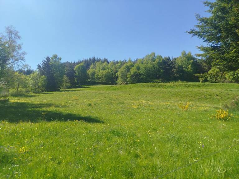 Terrain Constructible Chaudeyrac 6438m² — photo 1