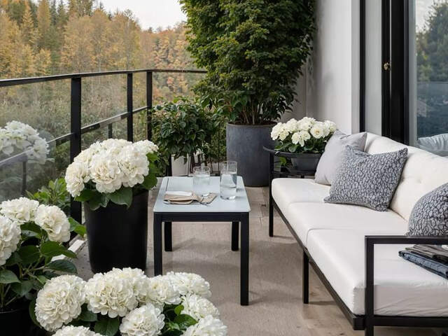 Massy : studio, terrasse, parking — photo du bien