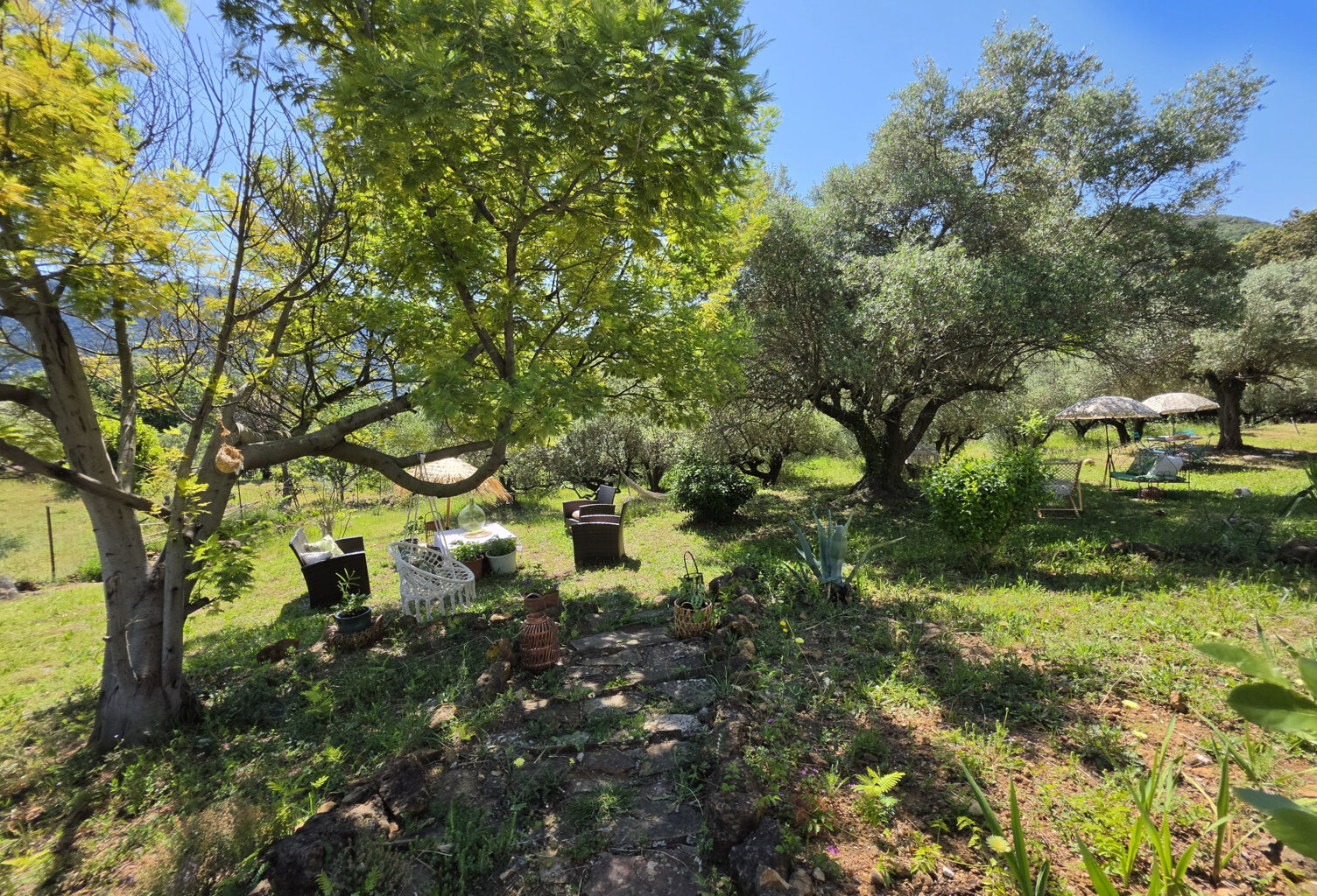 Dépt Hérault (34) - Olmet et Villecun - À vendre - Maison T4 — photo 1