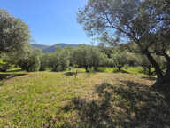 Dépt Hérault (34) - Olmet et Villecun - À vendre - Maison T4 — photo 3