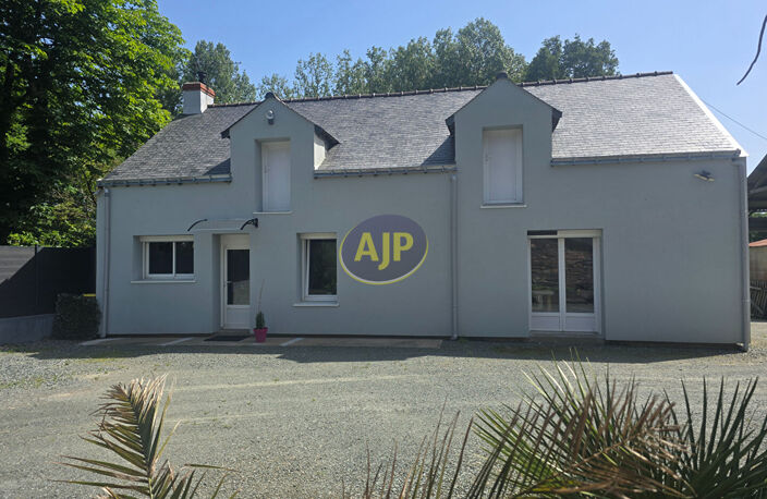 Guemene Penfao - maison et 280 m² dépendances - 3210 m² T — photo 2