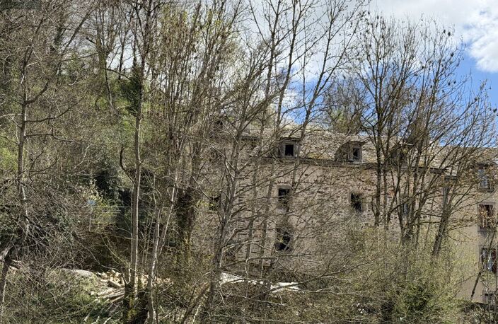 Maison PONT DE SALARS — photo 2