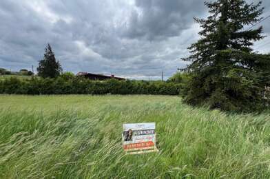 Terrain  16000 €