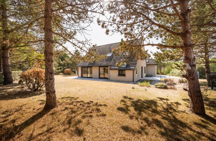 villa familiale avec beaux volumes et grand terrain arboré — photo 4