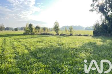 Terrain  81000 €