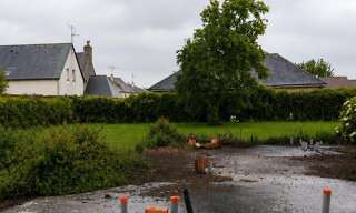 Photo N° 2