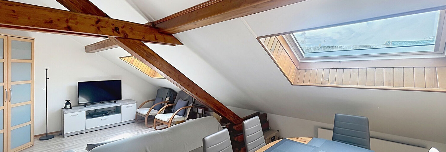 Appartement 2 Pièces 47 m² à louer à Huningue (68330)