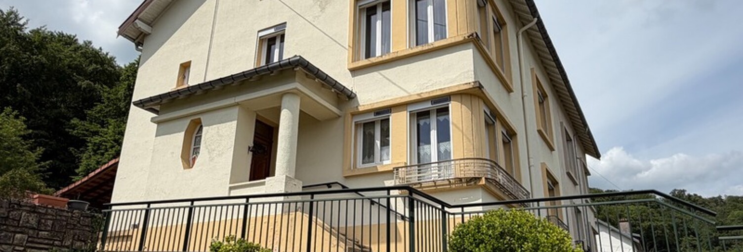 Maison 8 Pièces 180 m² à vendre à Neuves-Maisons (54230)