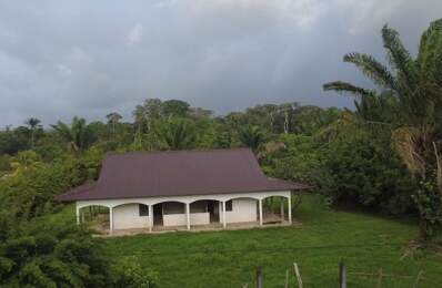 Terrain à vendre de 20 025,00 m² MANA (973) — photo du bien