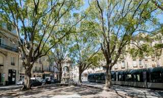 Appartement 2 Pièces  m² à louer à Bordeaux (33000)
