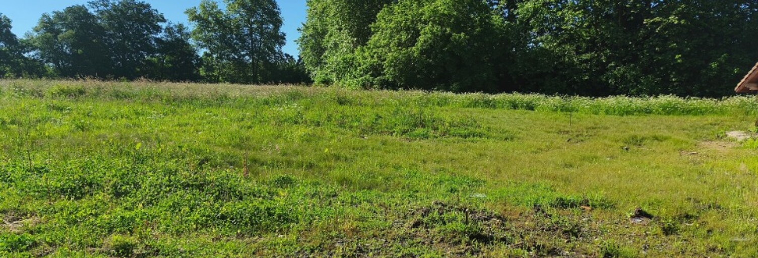 Terrain  2469 m² à vendre à Saugnac-et-Cambran (40180)