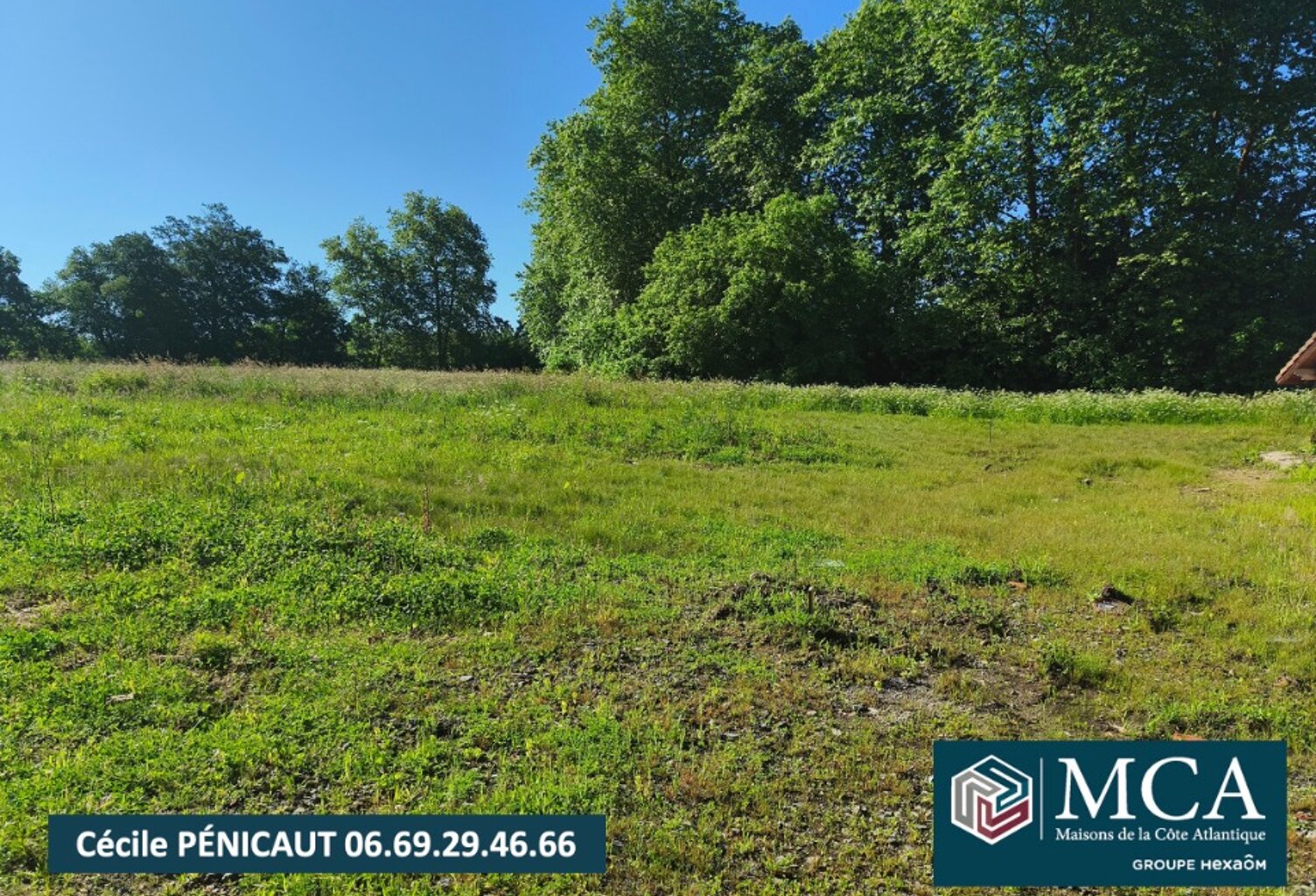 Terrain à bâtir à Saugnac-et-Cambran (40180) — photo 1
