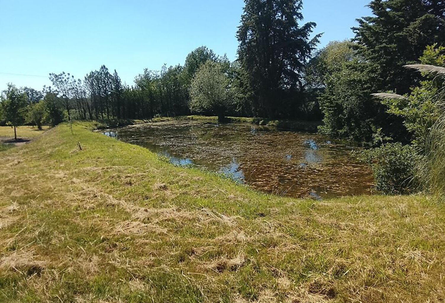 Terrain de loisirs Lureuil — photo 1
