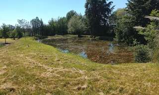 Maison  4700 m² à vendre à Lureuil (36220)