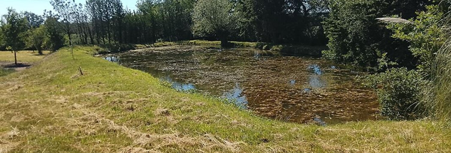 Maison  4700 m² à vendre à Lureuil (36220)