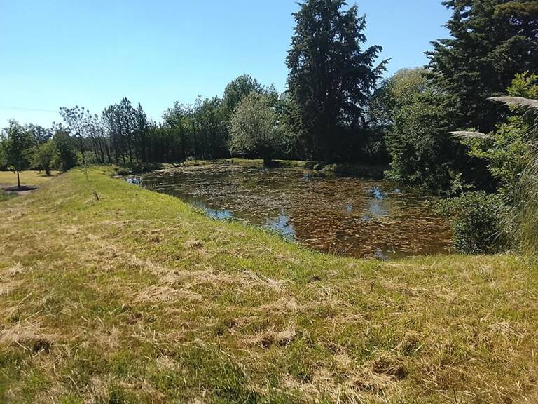 Terrain de loisirs Lureuil — photo 1