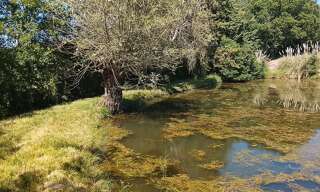 Photo N° 2