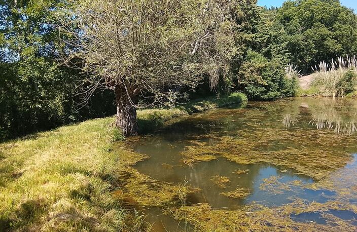 Terrain de loisirs Lureuil — photo 2