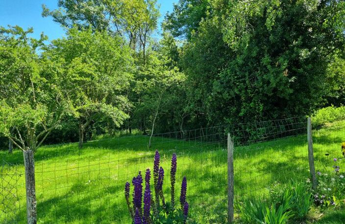 MAISON FAMILIALE A MAZANGE — photo 4