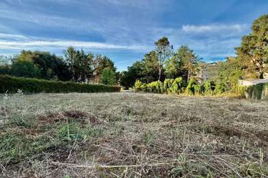 Terrain  142990 €