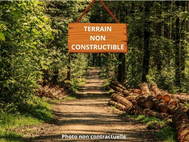 LARUSCADE TERRAIN NON CONSTRUCTIBLE — photo 1