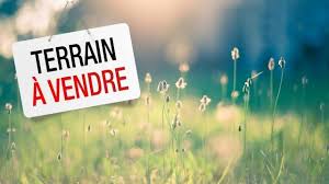 A VENDRE : TERRAIN A LA PLAINE DES PALMISTES