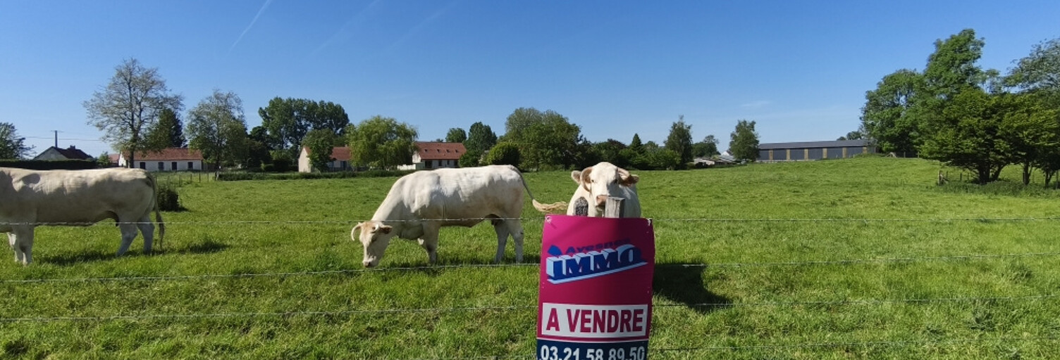 Terrain  1000 m² à vendre à Auxi-le-Château (62390)