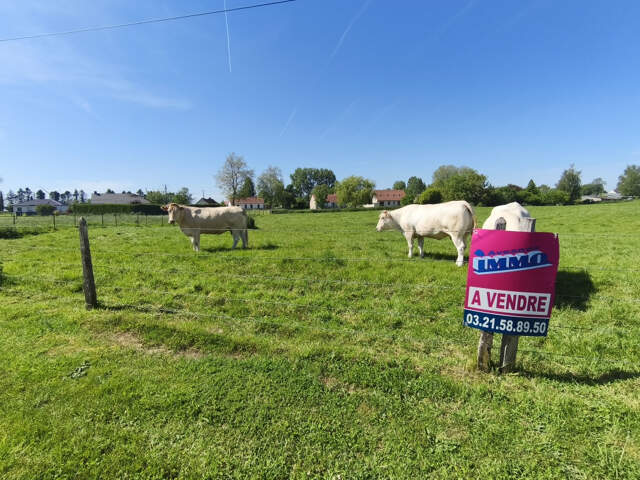 Terrain à bâtir, secteur de Frévent — photo du bien