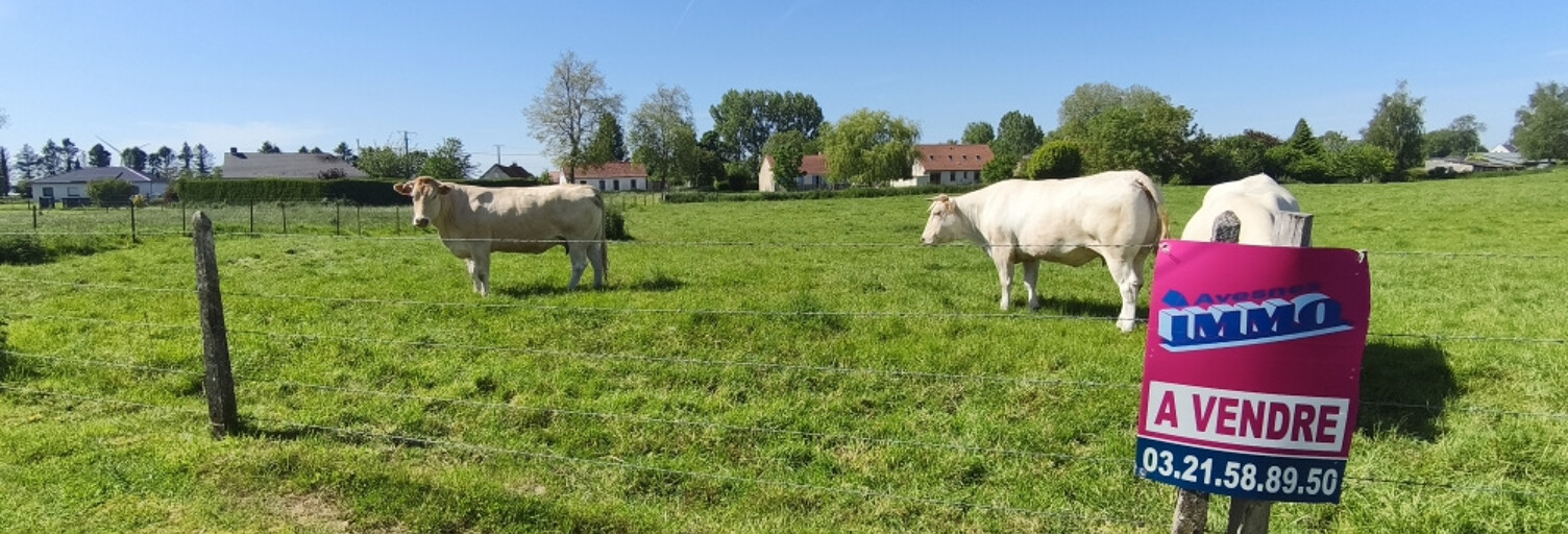Terrain  1000 m² à vendre à Frévent (62270)
