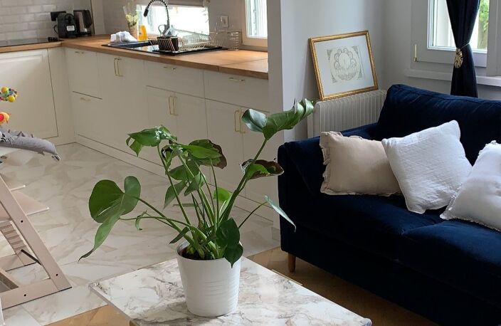 Appartement — photo 2