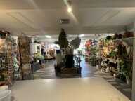Local commercial — photo 3