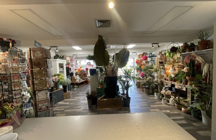 Local commercial — photo 3