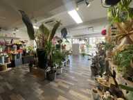 Local commercial — photo 4