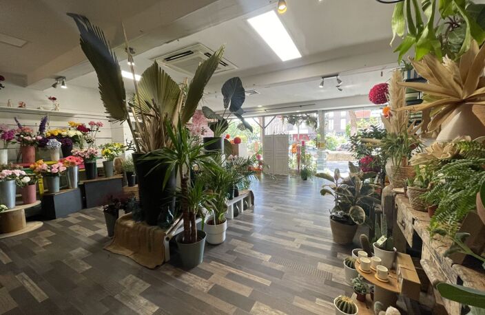 Local commercial — photo 4