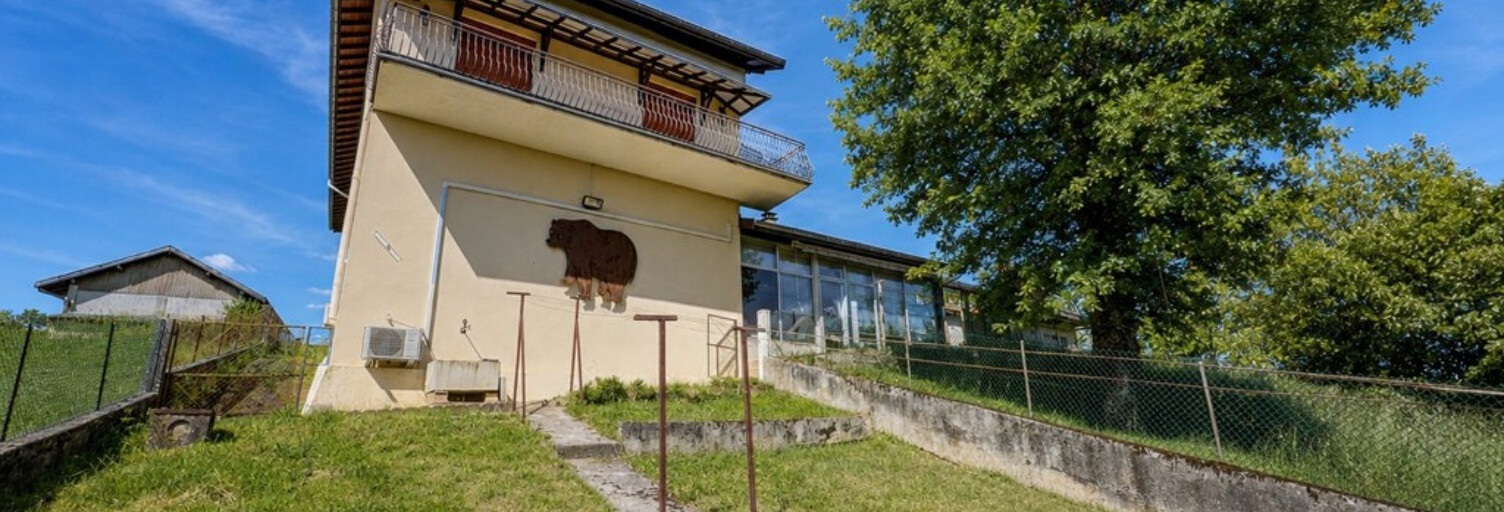 Maison 5 Pièces 166 m² à vendre à Châtillon-la-Palud (01320)