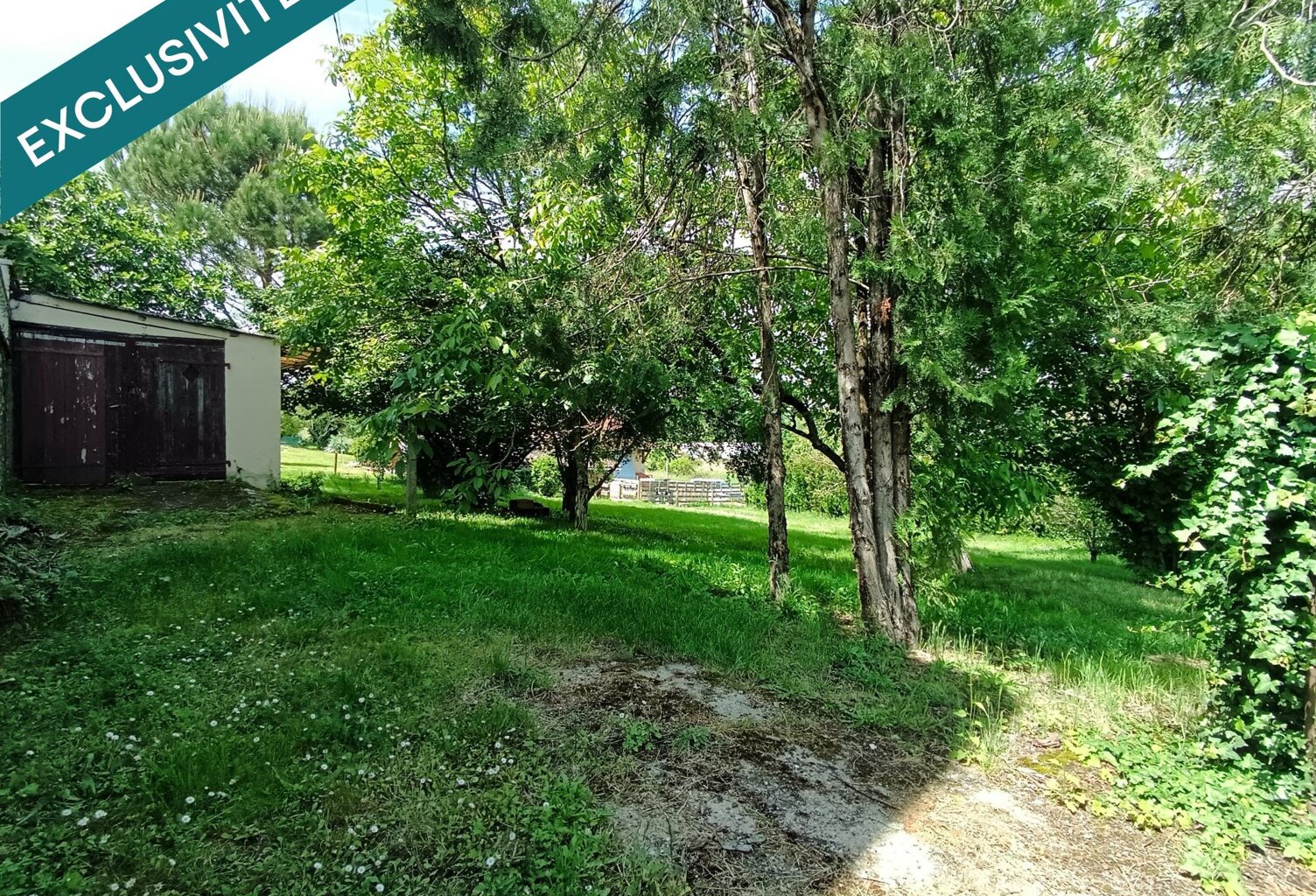 Terrain arboré avec dépendance — photo 1