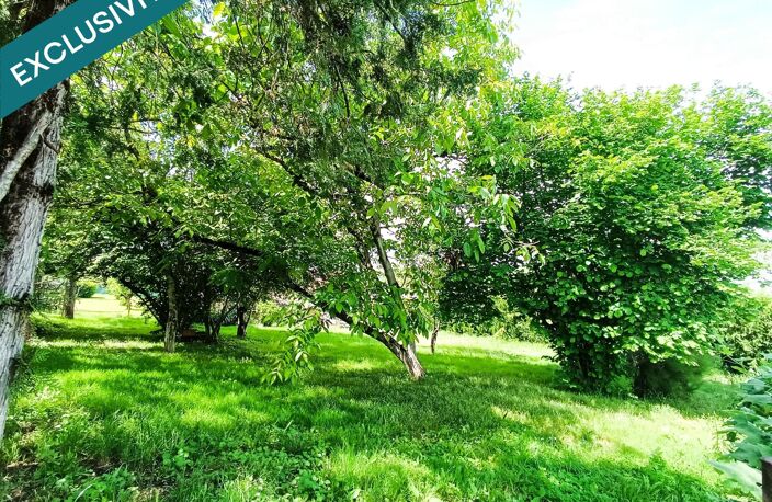 Terrain arboré avec dépendance — photo 2