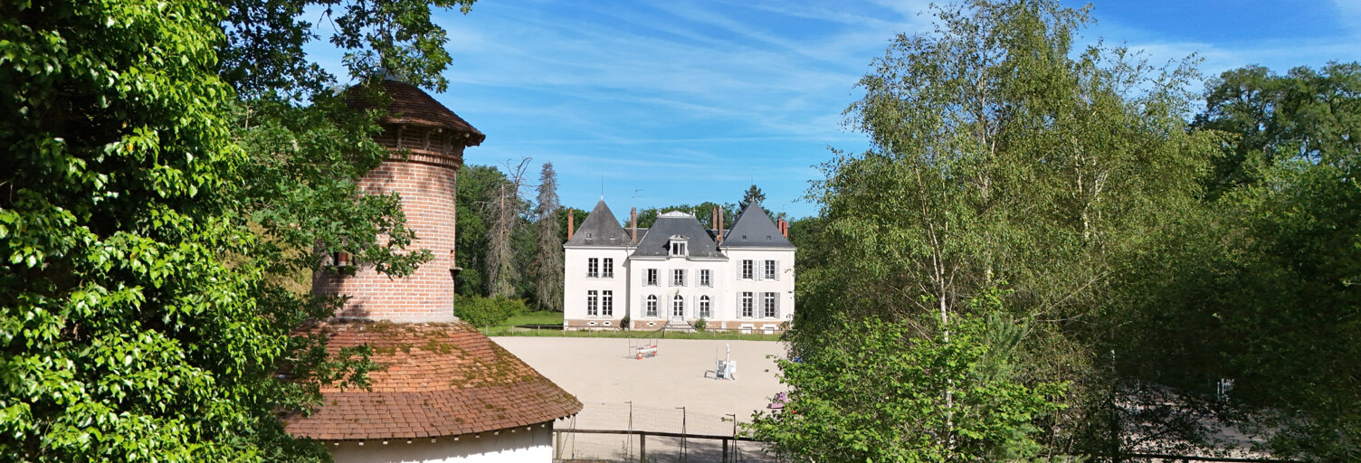 Maison 13 Pièces 470 m² à vendre à Theillay (41300)