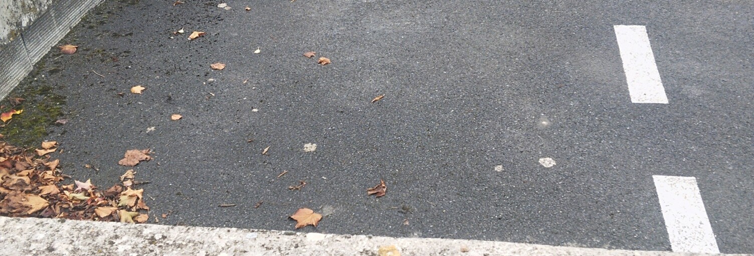 Photo N° 2