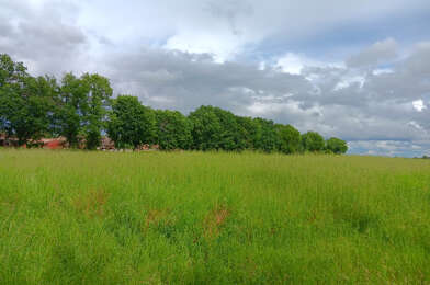 Terrain  89000 €