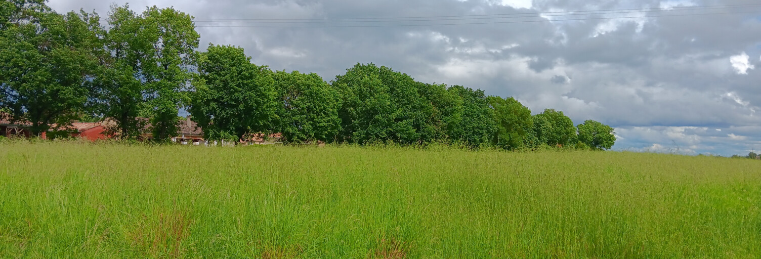 Terrain  320 m² à vendre à Montaigut-sur-Save (31530)